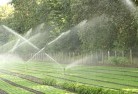 Canelandscaping-water-management-and-drainage-17.jpg; ?>